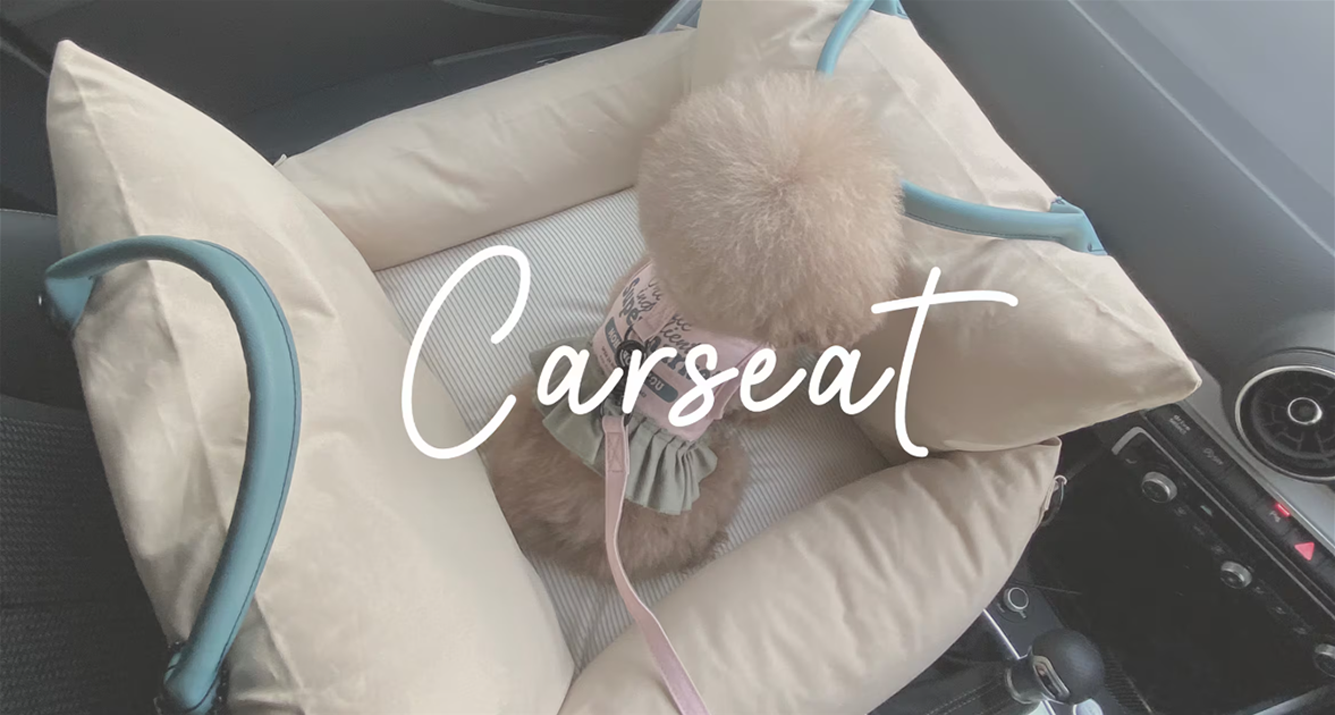 Car Seats & Seatbelts