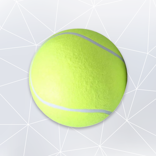PP Dog Tennis Ball