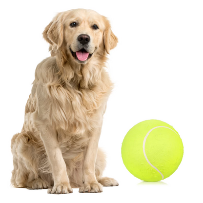PP Dog Tennis Ball
